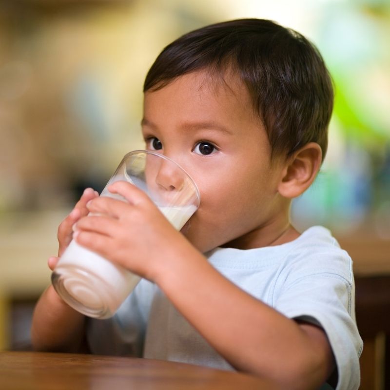 Picky Eating 101: Is milk making picky eating worse?